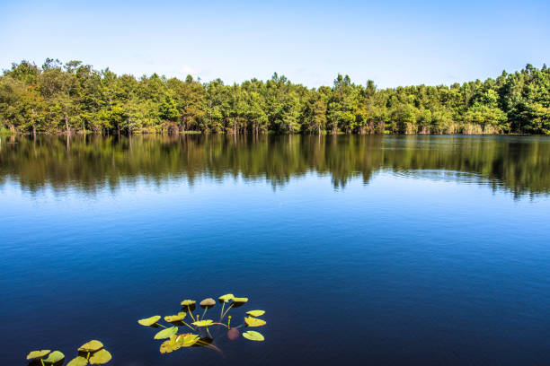 Carpenter Lake Nature Preserve
