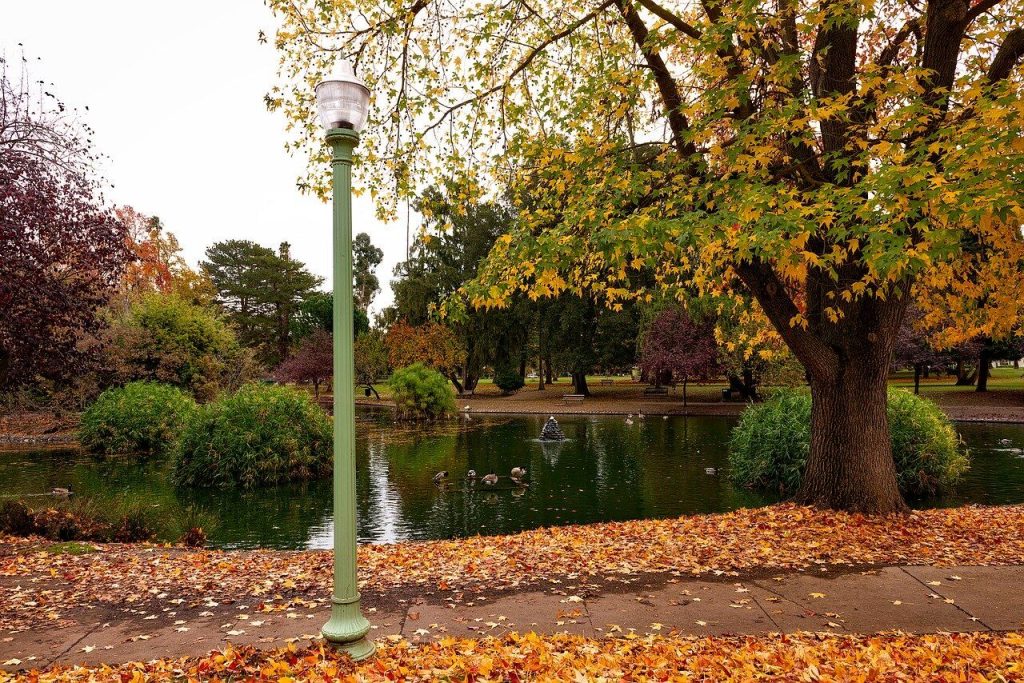 Best Public Parks in Farmington Hills