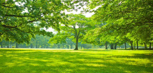 Woodland Hills Nature Park Hour